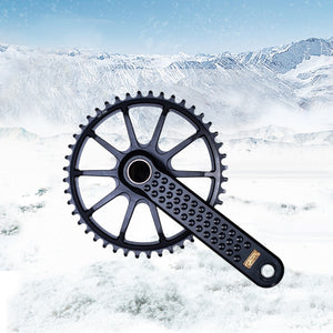 R600-DG3 gravel bicycle crankset direct chainring and crank